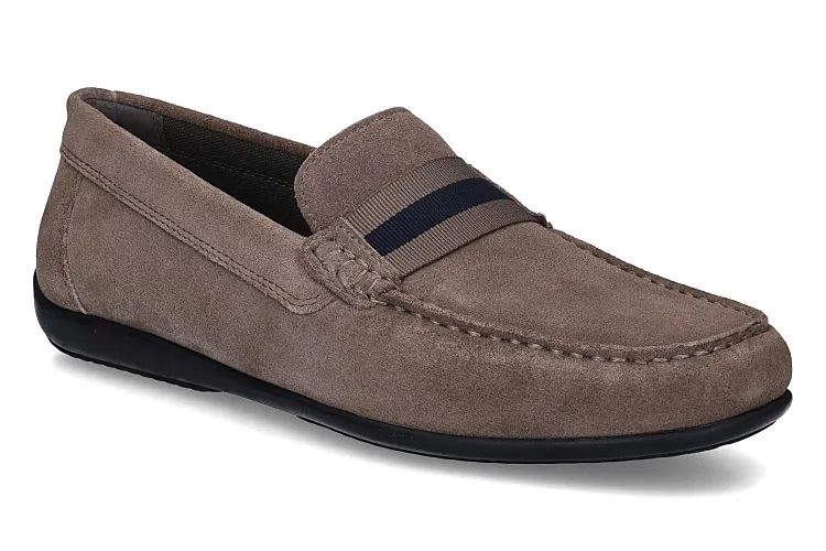 GEOX-ASCANIO 1-TAUPE-HOMMES-0001
