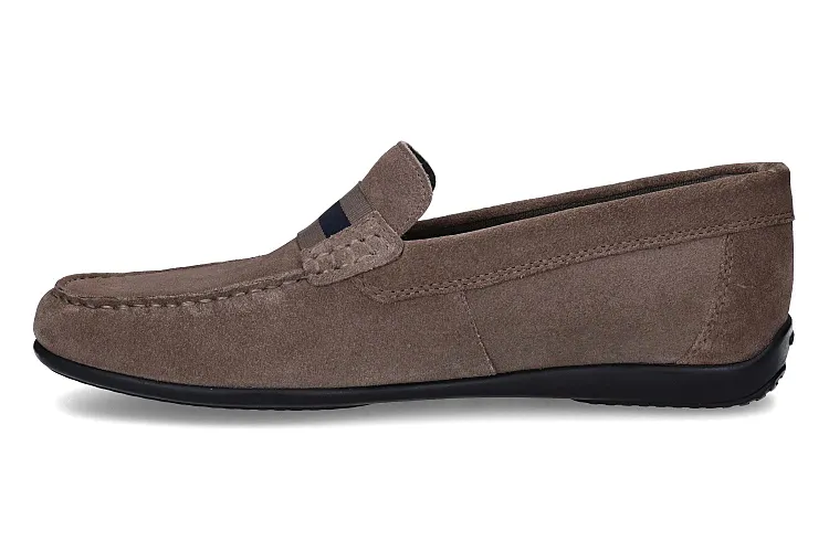 GEOX-ASCANIO 1-TAUPE-HOMMES-0004