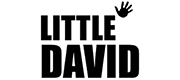 472_little_david